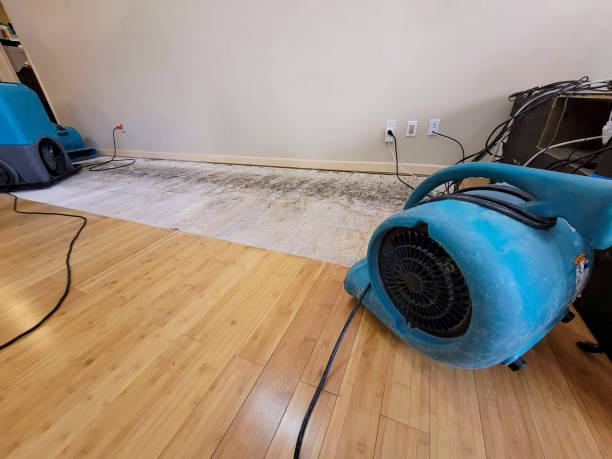 Professional Ceiling Water Damage Repair technician working in Montgomery, WV